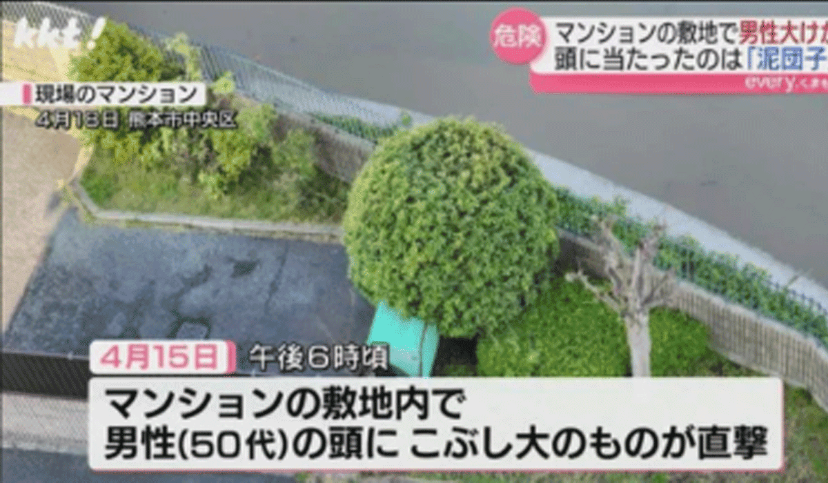 高層マンション泥団子小学生は特定!?損害賠償金額がヤバすぎた!?